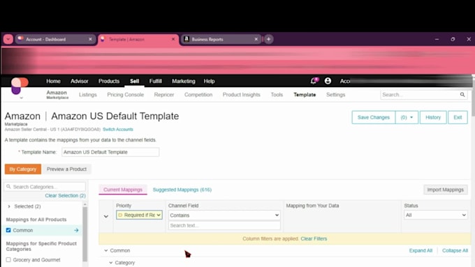 manage your channeladvisor, rithum, sellercloud, ecommdesh, multichannel stores