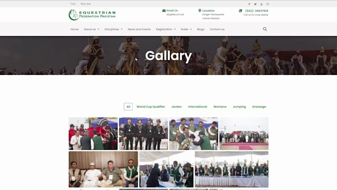 design responsive and effective portfolio or business wordpress site for you