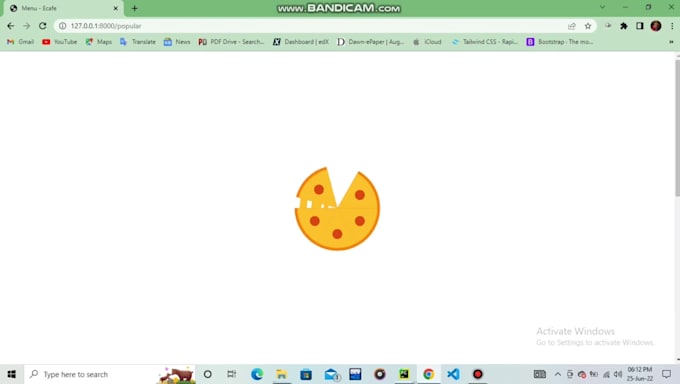 develop a professional django website, python website for you