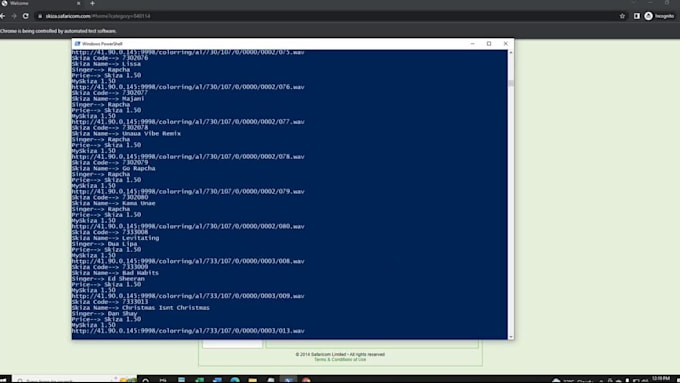do web scrapping, web automation, bot