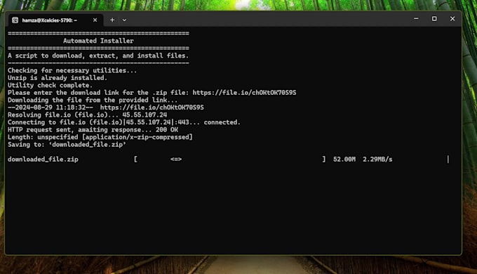 provide python scripting,  web scraping, and automation for you