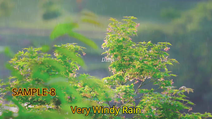 create nature relaxing rain video for youtube