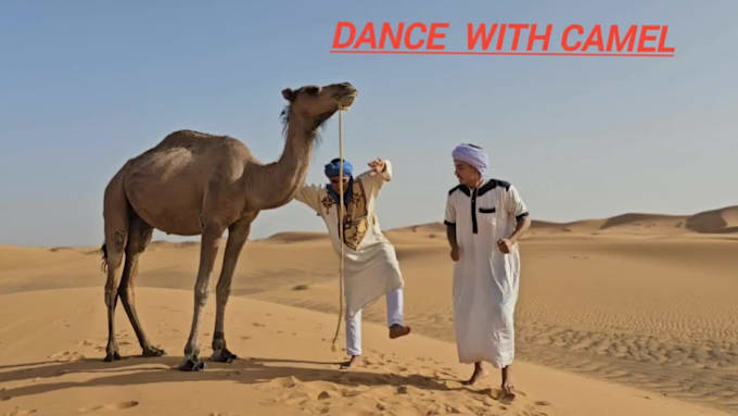 do tik tok dance, dance video, dance camel, group dance