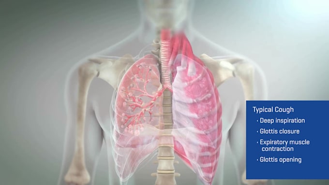 3d medical animation video, 3d dental 3d realistic animation and modeling