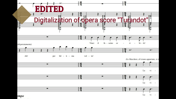 digitalize your score or manuscript, engrave  for publishing
