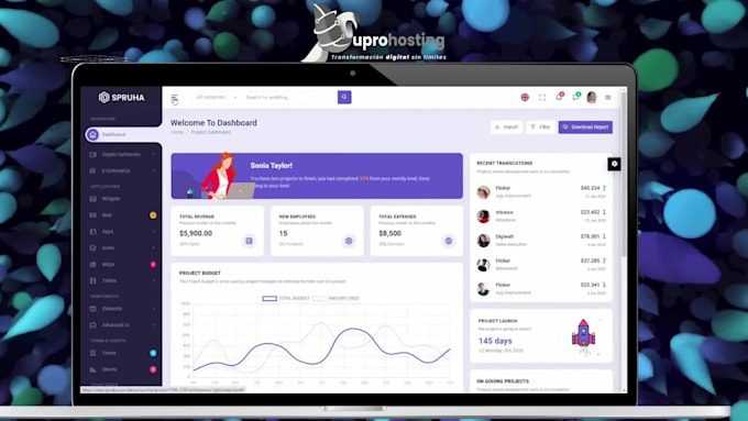 develop custom web and mobile applications