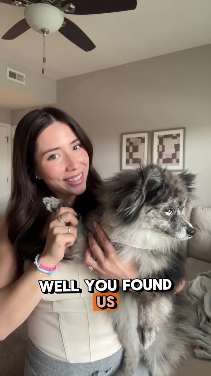 create a ugc video for your pet brand
