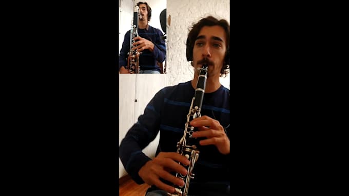 record clarinet or bass clarinet parts in any styles