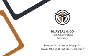 pakistan tax return and wealth statement