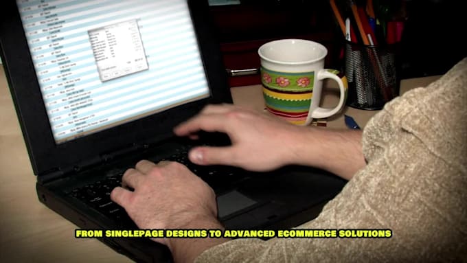 develop professional websites and web apps with full stack support