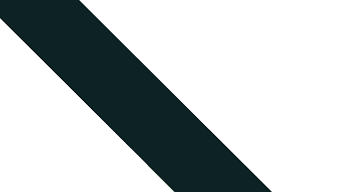 create a perfect custom logo animation for you