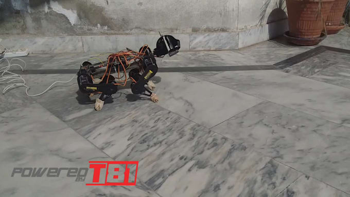 do robotic dog or cat project codding for you