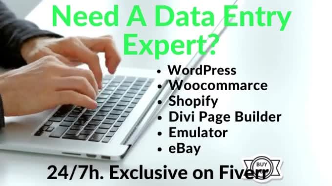 do fastest data entry in low price