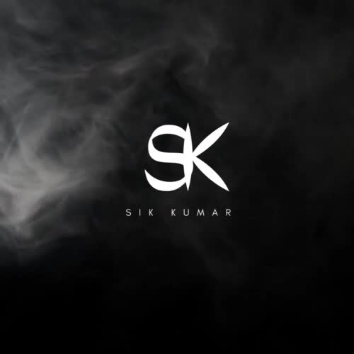 design a magnificent and stylish logo