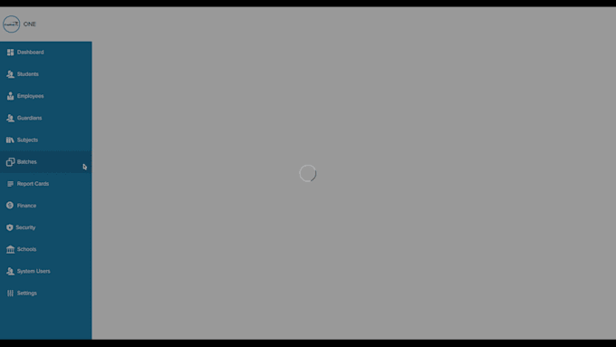 build a custom web application for you