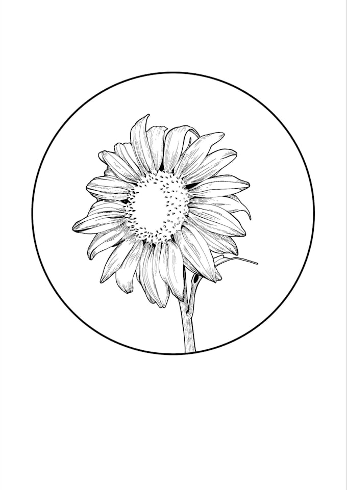 create a custom ink drawing of your choice of subject
