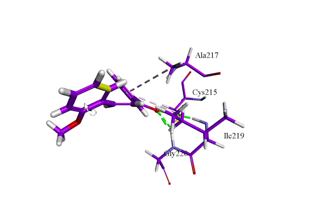 Provide molecular docking and admet in silico studies by ...