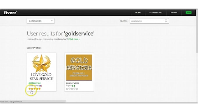 record A HD Video Or Tutorial Of Your Website Or Software