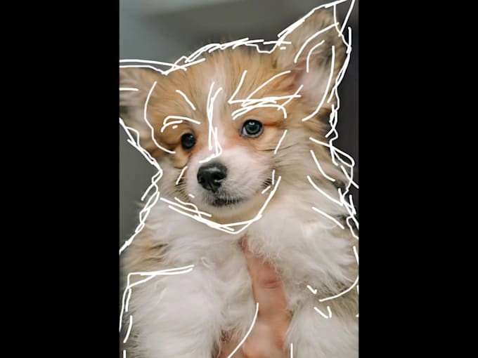 do animated GIF for you