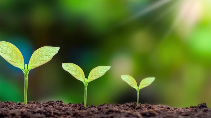 write about sustainable built environment