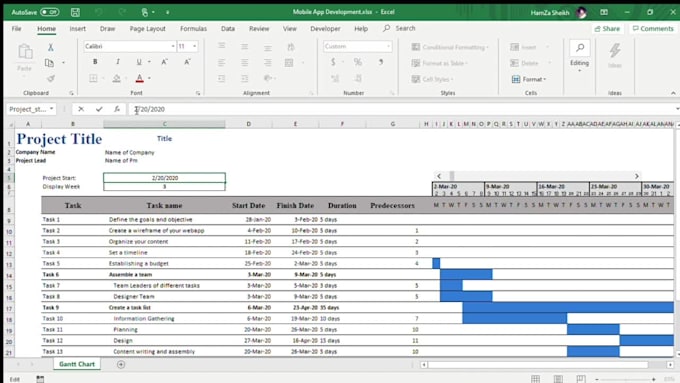 create a professional gantt chart on project and excel