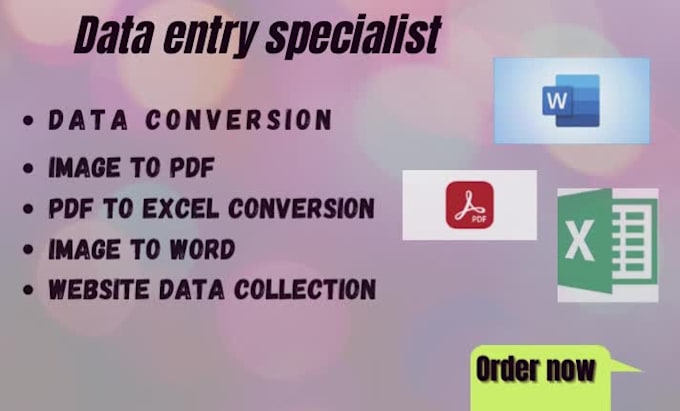Do data entry data conversion on excel and word by Sana_noor11 | Fiverr