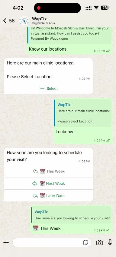 setup whatsapp automation, chatbot and bulk messaging system