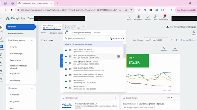 audit and optimize google ads PPC search campaigns as SEM specialist