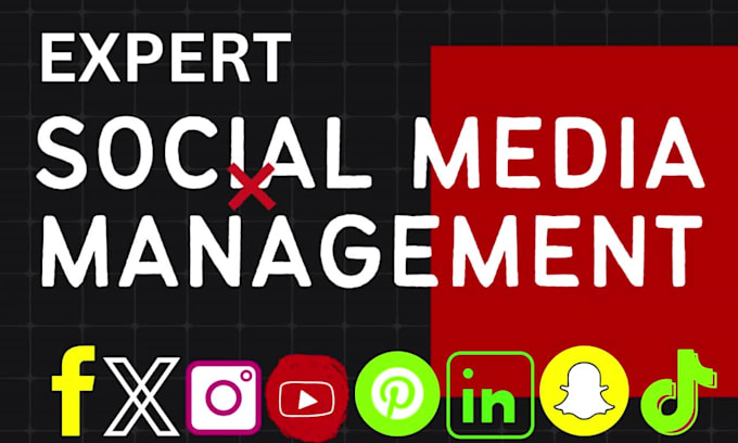 be your monthly social media manager and social media management and marketing