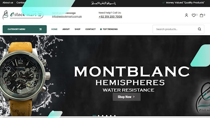 redesign, rebuild, duplicate or copy clone your wordpress website
