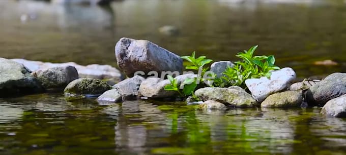 create relaxation music video