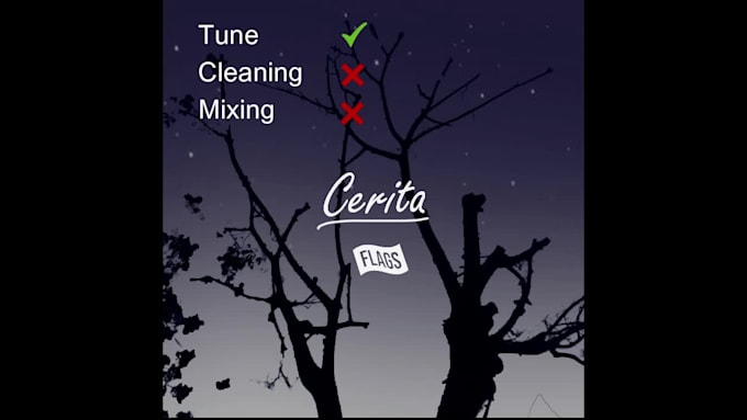 tune, clean, and mixing your vocal