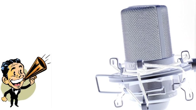 voice your explainer video in any style