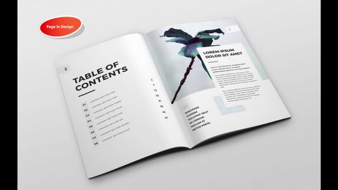 Design Magazine Book Page Layout And Newsletter By zaman Fiverr