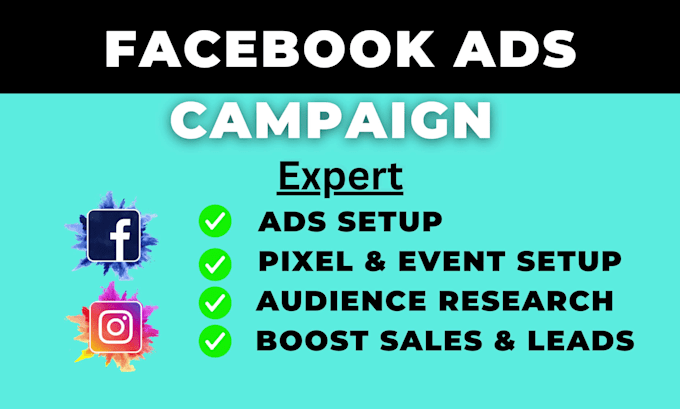 setup and manage facebook ads campaign