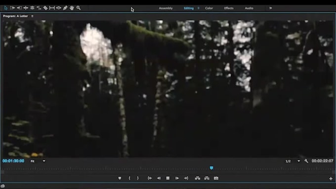expertly edit your videos for a low price using premiere pro