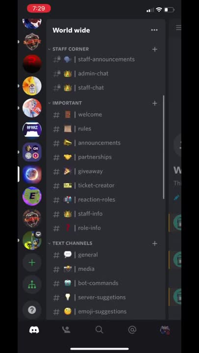 setup discord servers, add bots and provied support