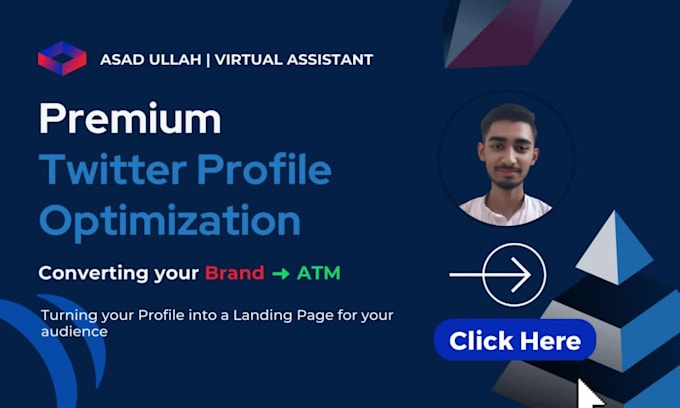 do professional twitter profile optimization and management