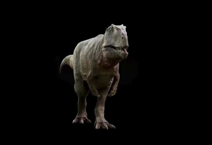 do 3d animal model 3d dinosaur model 3d dragon 3d animal animation 3d creatures