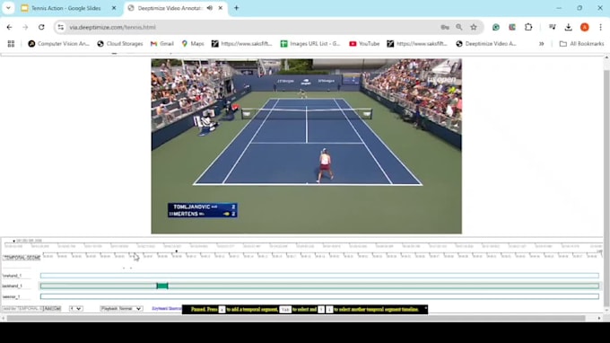 do image annotation, video annotation, keypoints and polygon