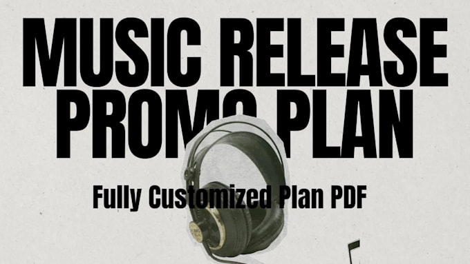 create a custom music release plan for you