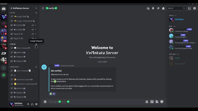 Create good discord servers by Georgi_velinov7 | Fiverr