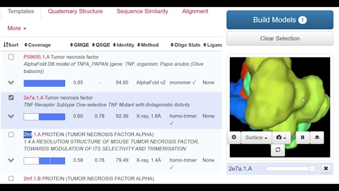 do protein modeling for docking and dynamics