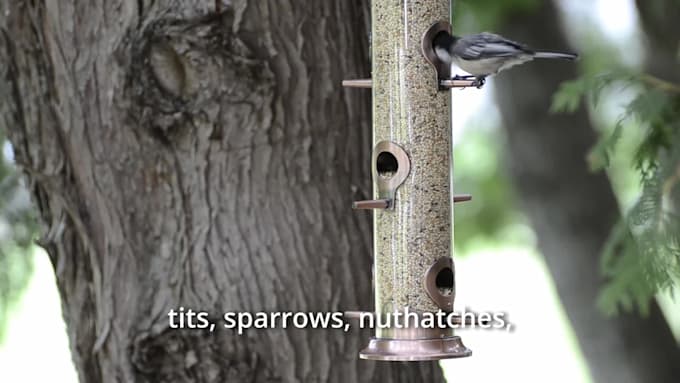 create a product video for your outdoor product
