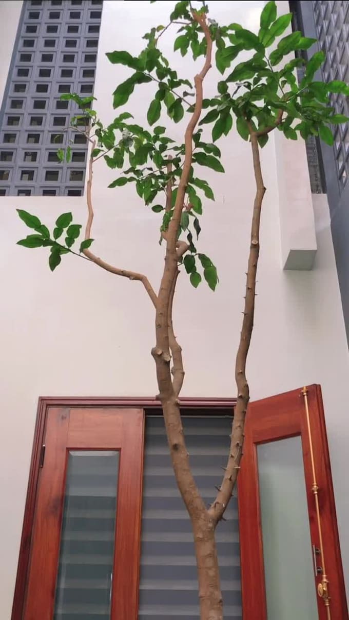 create a great modern architecture design