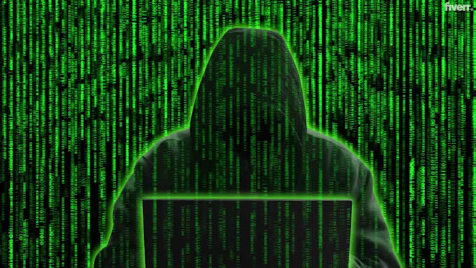 do penetration testing, detect vulnerability and do malware removal