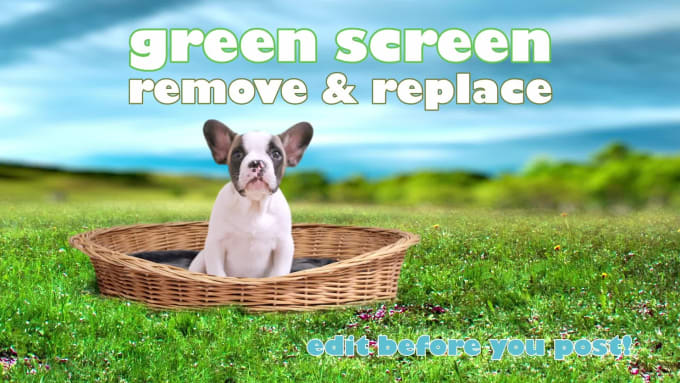 replace green screen with image