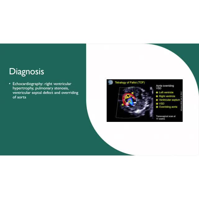 prepare medical presentations and assignments  on power point