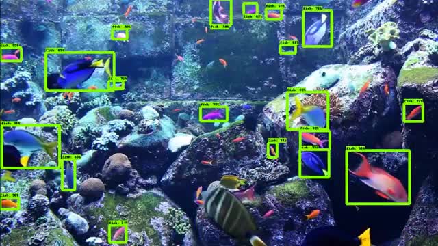 do your machine learning projects