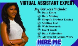 be your expert virtual assistant for data entry web research